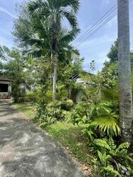 Seletar Hills Estate (D28), Semi-Detached #610314471